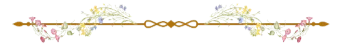 line decoration